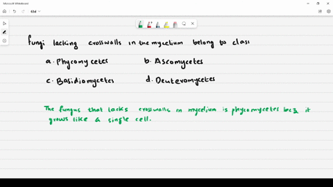 Chapter 2 Biological Classification Video Solutions Ncert At You Fingerstips Biology Numerade