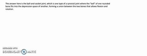watch-this-video-httpopenstaxcollegeorg-11-synjoints-to-see-an-animation-of-synovial-joints-in-actio