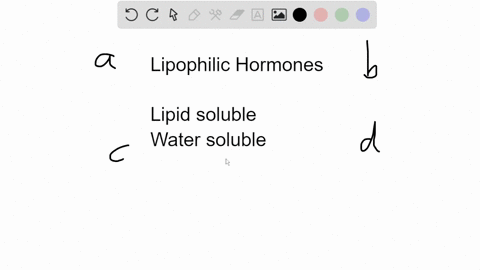 which-of-the-following-is-true-about-lipophilic-hormones-a-they-are-freely-soluble-in-the-blood-d-th
