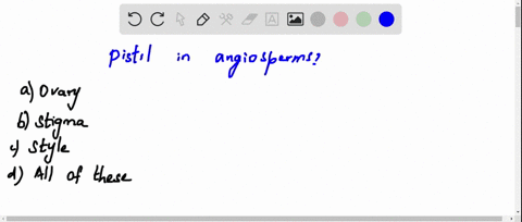 the-pistil-in-angiosperm-is-made-up-of-a-ovary-b-stigma-c-style-d-all-of-these