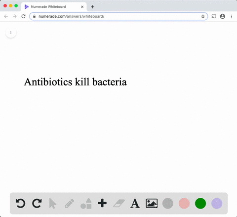 which-of-the-following-experiments-could-test-the-hypothesis-that-bacteria-cause-ulcers-in-humans-2