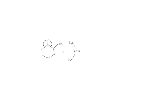 what-two-enamines-are-formed-when-2-methylcyclohexanone-is-treated-with-ch-_3-_2-nh