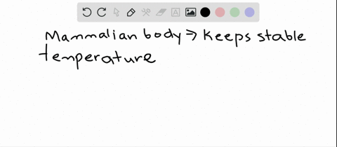 the-main-control-center-for-maintaining-the-temperature-of-the-mammalian-body-is-in-the-______-a-ant