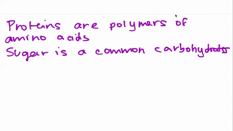 select-the-correct-terms-proteins-are-polymers-monomers-of-amino-acids-a-common-carbohydrate-is-suga