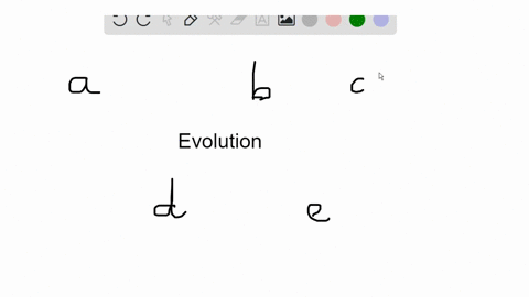 choose-from-the-list-of-terms-below-a-charles-darwin-b-lamarck-c-stephen-j-gould-and-niles-eldridg-4