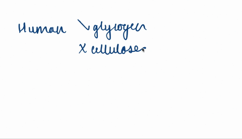 a-explain-why-humans-can-use-glycogen-but-not-cellulose-for-energy-b-why-can-cows-digest-cellulose