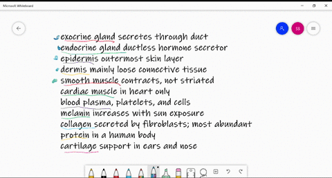 match-the-terms-with-the-most-suitable-description-text-exocrine-gland-quad-quad-quad-text-a-outermo