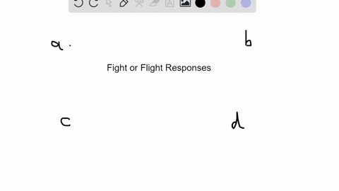 what-gland-produces-a-secretion-that-causes-fight-orflight-responses-in-effectors-a-adrenal-medulla-