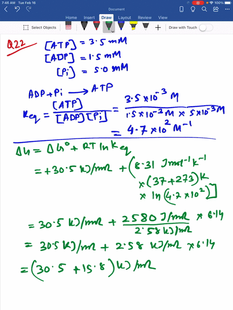 a-a-total-of-305-mathrmkj-mathrmmol-of-free-energy-is-needed-to-synthesize-atp-from-adp-and-mathrmp_