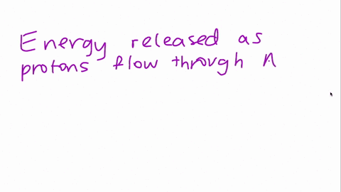 in-the-chemiosmotic-model-how-is-energy-provided-to-synthesize-atp-232