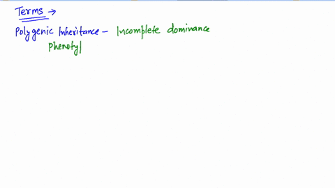 what-are-the-phenotypes-and-genotypes-for-the-abo-blood-groups-if-both-parents-are-type-ab-blood-w-2