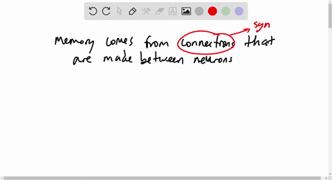 chemical-connections-25-b-what-process-distinguishes-a-short-term-memory-from-a-long-term-one