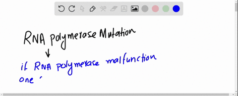 assume-that-a-mutation-occurs-in-the-gene-that-codes-for-each-of-the-following-rna-polymerases-match