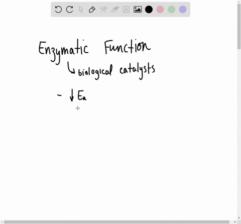 enzymes-catalyze-reactions-by-a-bringing-the-reactants-together-so-that-they-can-bind-b-lowering-the