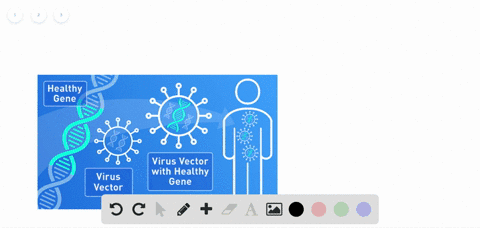 which-is-not-a-correct-association-with-regard-to-bioengineering-a-plasmid-as-a-vectorbacteria-b-pro