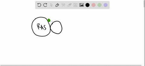 the-ras-protein-functions-as-a-molecular-switch-that-is-set-to-its-on-state-by-other-proteins-that-c