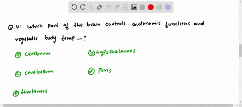 which-part-of-the-brain-controls-autonomic-functions-and-regulates-body-temperature-a-cerebrum-b-hyp
