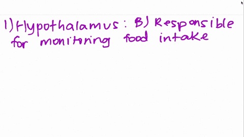 match-the-following-terms-with-their-definitions-1-hypothalamus-2-lateral-hypothalamic-damage-3-ve-3