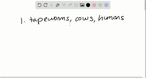 give-three-examples-of-interactions-between-animals-classified-in-different-phyla