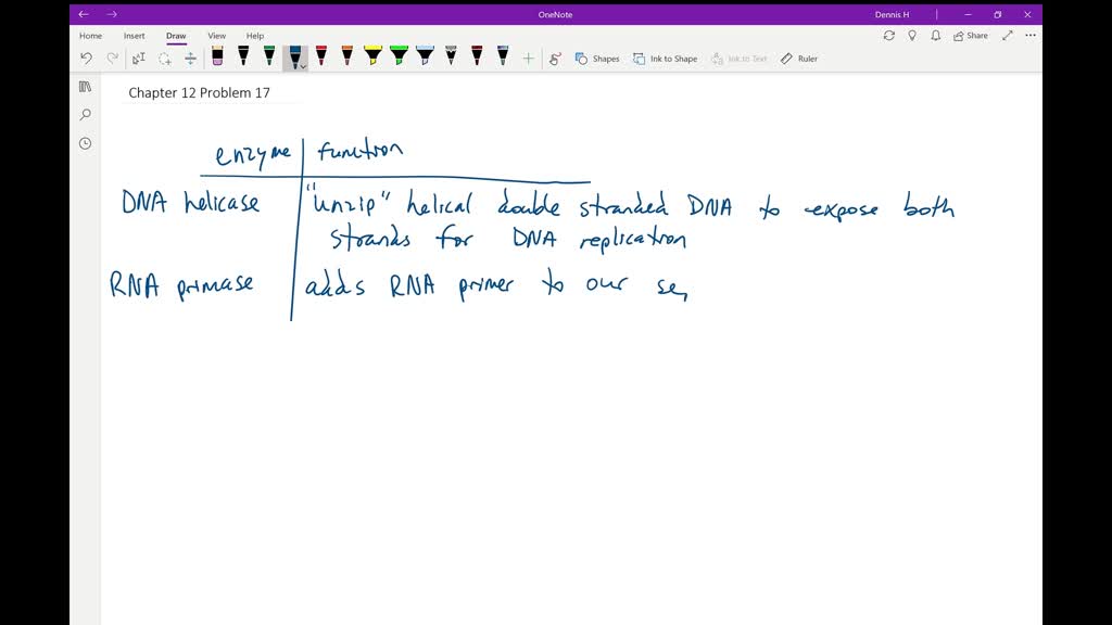 SOLVED What enzymes are involved in DNA replication?
