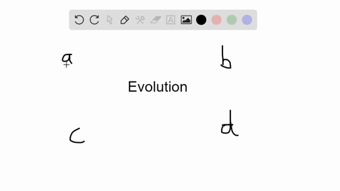 evolution-______-a-is-natural-selection-b-is-heritable-change-in-a-line-of-descent-c-can-occur-by-na