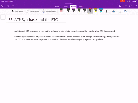 what-is-the-mechanistic-basis-for-the-observation-that-the-inhibitors-of-atp-synthase-also-lead-to-a