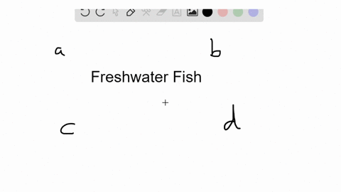 which-of-the-following-statements-is-true-of-fishes-that-live-in-freshwater-a-water-moves-across-the