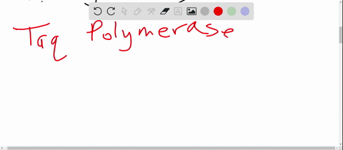 taq-polymerase-is-used-for-pcr-because-it-__________-a-tolerates-the-high-temperature-needed-to-sepa