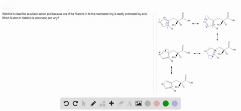 histidine-is-classified-as-a-basic-amino-acid-because-one-of-the-n-atoms-in-its-five-membered-ring-i