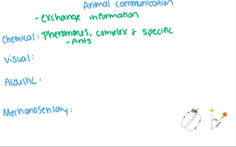 which-of-the-following-statements-about-communication-is-true-a-complex-information-cannot-be-convey