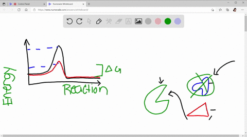 which-of-the-following-is-not-true-about-enzymes-a-they-increase-the-delta-g-of-reactions-b-they-are