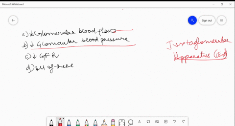 stimulus-for-activation-of-jg-cells-to-release-rennin-isare-a-downarrow-glomerular-blood-flow-b-down