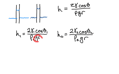 what-is-the-ratio-of-heights-to-which-ethyl-alcohol-and-water-are-raised-by-capillary-action-in-the-