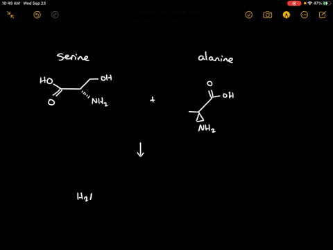 draw-the-structures-of-the-two-dipeptides-that-can-be-formed-from-serine-and-alanine-4