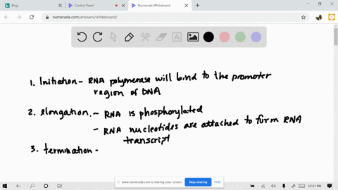 what-would-happen-to-the-transcription-process-if-a-drug-added-to-a-eukaryotic-cell-inhibited-the--3