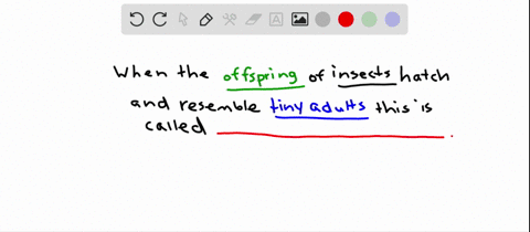 insects-that-hatch-from-eggs-into-juveniles-that-resemble-miniature-adults-are-said-to-have-a-instar