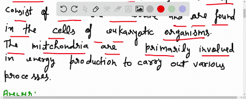 mitochondria-most-resemble-_____-a-archaeans-b-aerobic-bacteria-c-cyanobacteria-d-early-eukaryotes