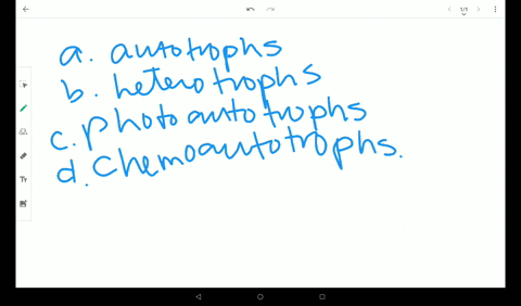 organisms-that-can-make-their-own-food-using-inorganic-molecules-are-called-a-autotrophs-b-heterotro