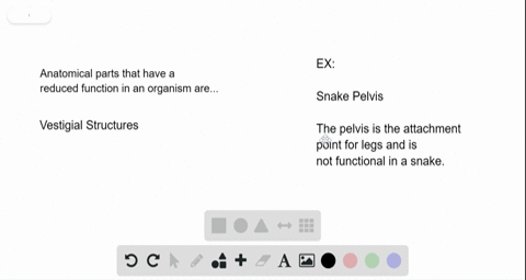 the-sentences-below-include-terms-that-have-been-used-incorrectly-make-the-sentences-true-by-replaci