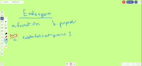 what-process-begins-endosperm-formation-how-is-the-endosperm-important-to-plants