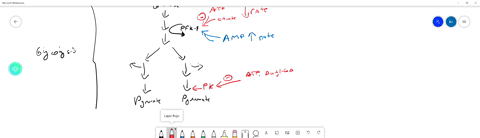 which-of-the-following-does-not-occur-as-atp-concentration-increases-relative-to-adp-a-decreased-act