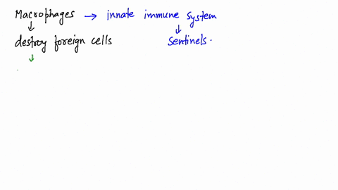 how-does-a-hybrid-lovebirds-method-of-carrying-nest-materials-compare-with-that-of-its-parents-wha-2