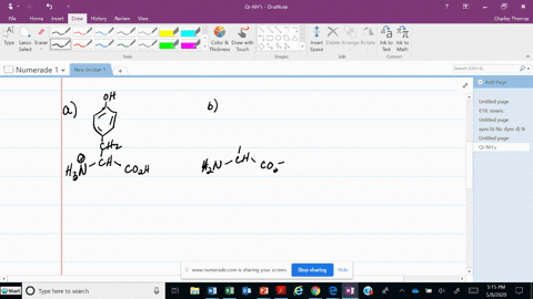 draw-the-condensed-structural-formulas-of-the-amino-acid-tyrosine-that-you-would-expect-to-predomina