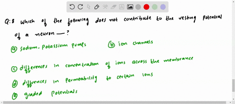 which-of-the-following-does-not-contribute-to-the-resting-potential-of-a-neuron-a-sodium-potassium-p