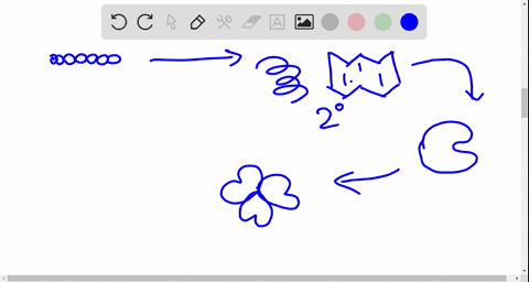 which-of-the-following-levels-of-protein-structure-may-be-affected-by-hydrogen-bonding-a-primary-a-5