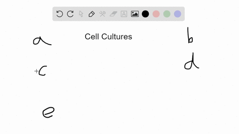 all-of-the-following-must-be-cultivated-in-cell-cultures-instead-of-cell-free-media-except-a-rickett