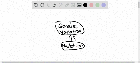 draw-a-small-concept-map-bioskills-15-showing-how-selection-genetic-drift-gene-flow-and-mutation-rel