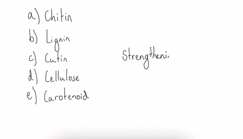 a-strengthening-compound-found-in-cell-walls-of-vascular-plants-is-a-chitin-b-lignin-c-cutin-d-cel-2