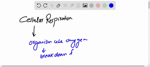 which-of-the-following-statements-is-false-in-cellular-respiration-a-one-molecule-of-glucose-can-p-4