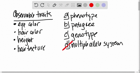 the-observable-traits-of-an-organism-are-its-_____-a-phenotype-b-pedigree-c-genotype-d-multiple-alle